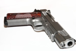 Smith Wesson - SW 1911 TA E-Series Tactical Accessory Rail