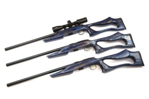 CZ 455 Evolution