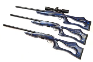 CZ 455 Evolution