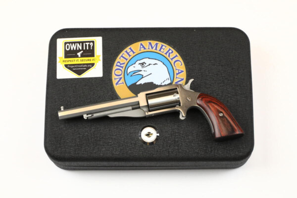 North American Arms NAA 1860-4 "The Earl"