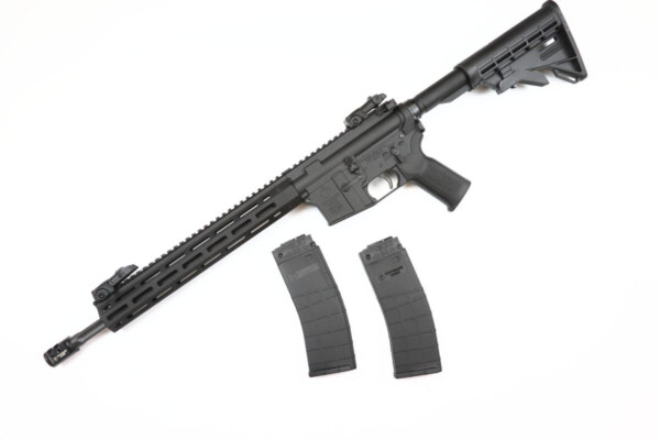 Tippmann M4-22 Elite L-Eagle – Bild 2